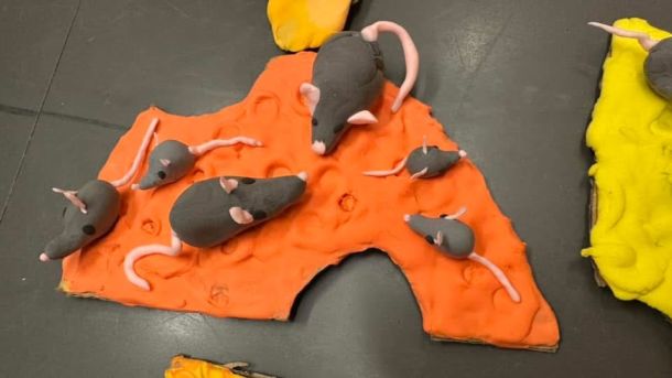 развитие ребенка